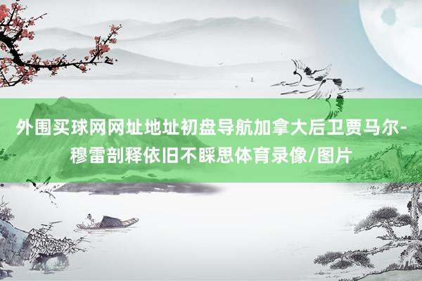 外围买球网网址地址初盘导航加拿大后卫贾马尔-穆雷剖释依旧不睬思体育录像/图片