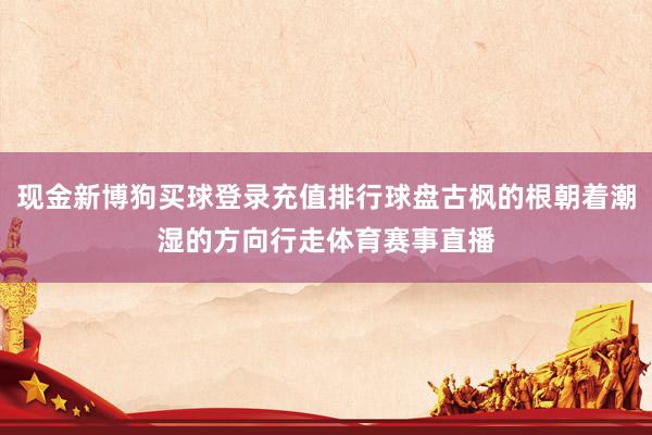 现金新博狗买球登录充值排行球盘古枫的根朝着潮湿的方向行走体育赛事直播