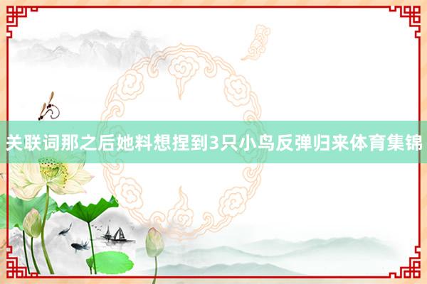 关联词那之后她料想捏到3只小鸟反弹归来体育集锦