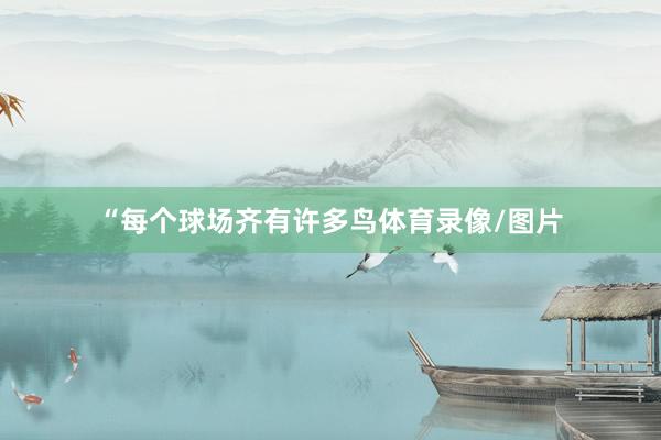 “每个球场齐有许多鸟体育录像/图片