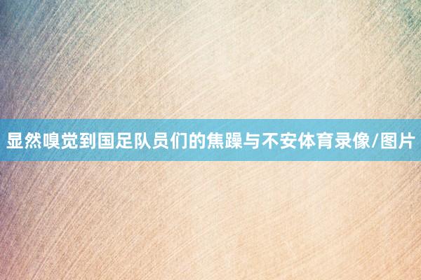 显然嗅觉到国足队员们的焦躁与不安体育录像/图片