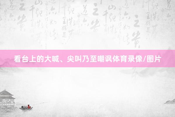 看台上的大喊、尖叫乃至嘲讽体育录像/图片