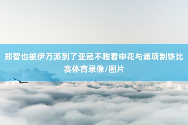 郑智也被伊万派到了亚冠不雅看申花与浦项制铁比赛体育录像/图片