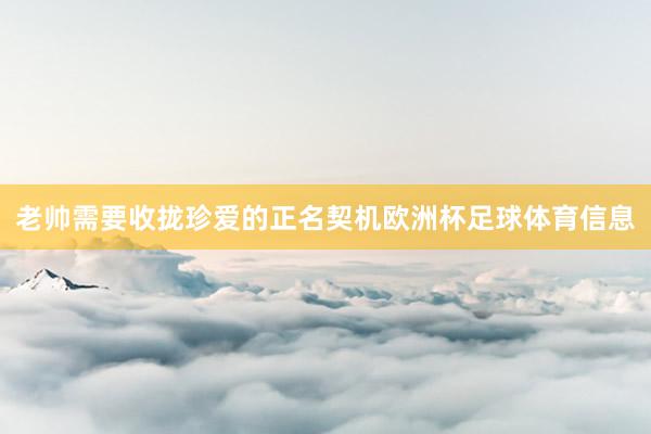 老帅需要收拢珍爱的正名契机欧洲杯足球体育信息