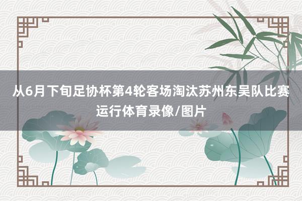 从6月下旬足协杯第4轮客场淘汰苏州东吴队比赛运行体育录像/图片