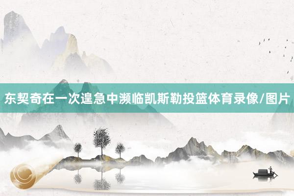 东契奇在一次遑急中濒临凯斯勒投篮体育录像/图片