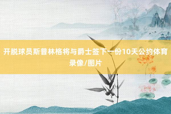 开脱球员斯普林格将与爵士签下一份10天公约体育录像/图片