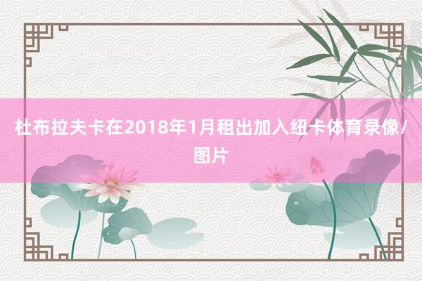 杜布拉夫卡在2018年1月租出加入纽卡体育录像/图片