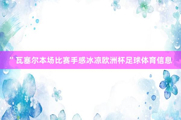 ”瓦塞尔本场比赛手感冰凉欧洲杯足球体育信息