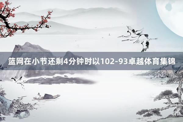 篮网在小节还剩4分钟时以102-93卓越体育集锦